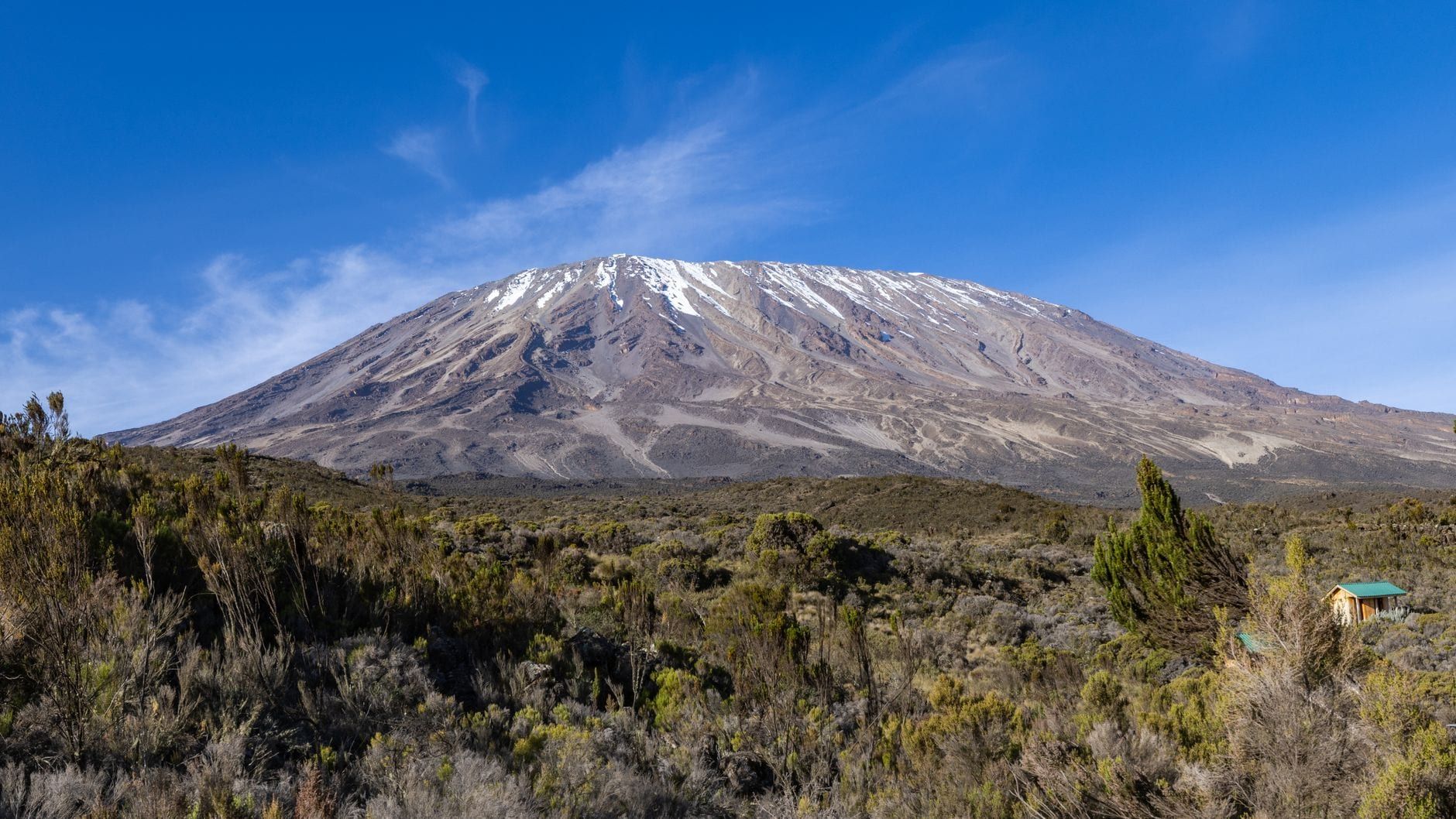 Snow-dusted Mount Kilimanjaro rises above rugged alpine moorland under a bright blue sky.