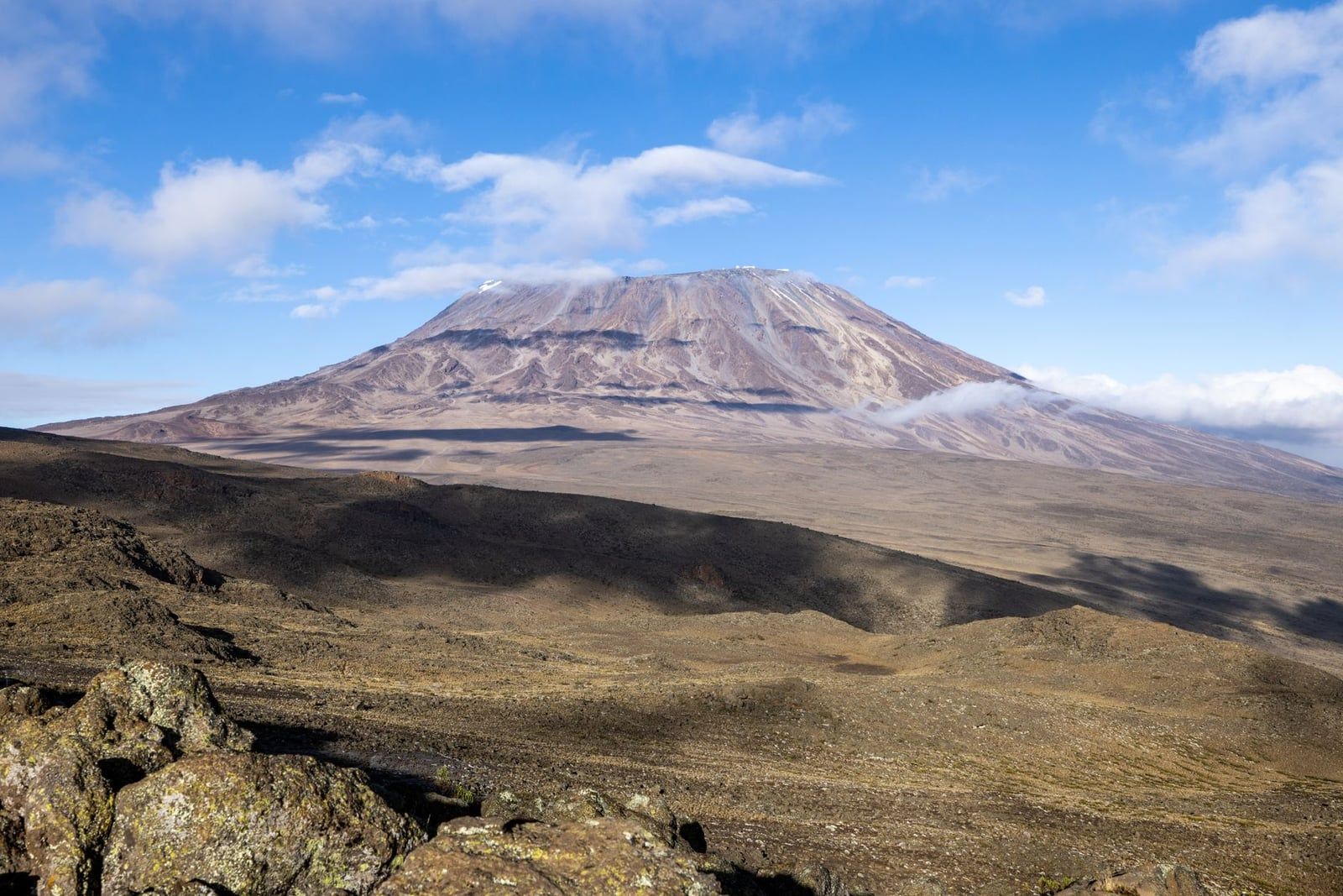 A wide view across the rocky terrain of the Shira Plateau toward Mount Kilimanjaro's Kibo cone under a clear sky.
