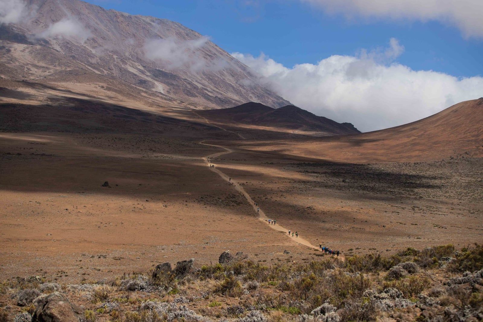 Un estrecho sendero de trekking se extiende a través del vasto y árido terreno del monte Kilimanjaro bajo una ladera de montaña y un cielo nublado.