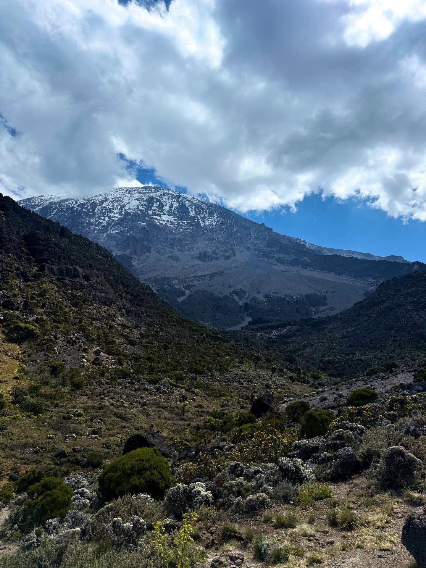 Vista de Monte Kilimanjaro